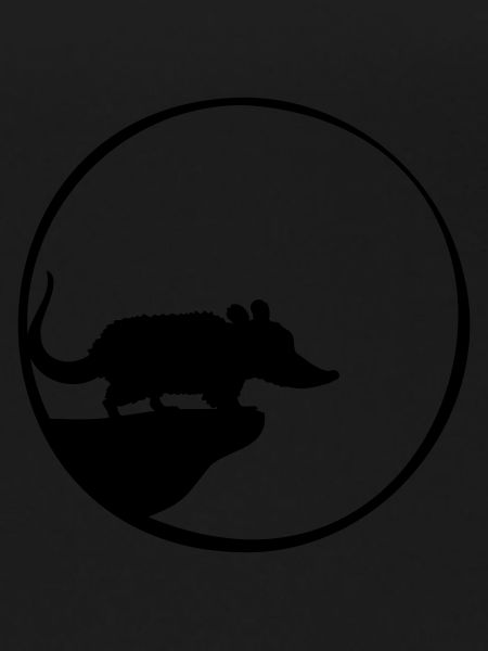 Cliff Moon Opossum