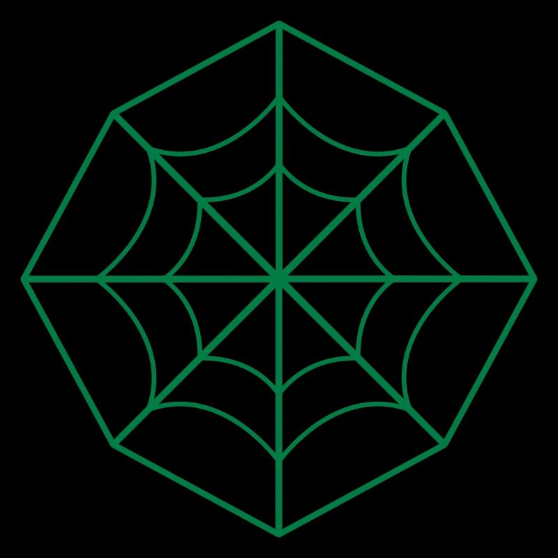 irregular spider web