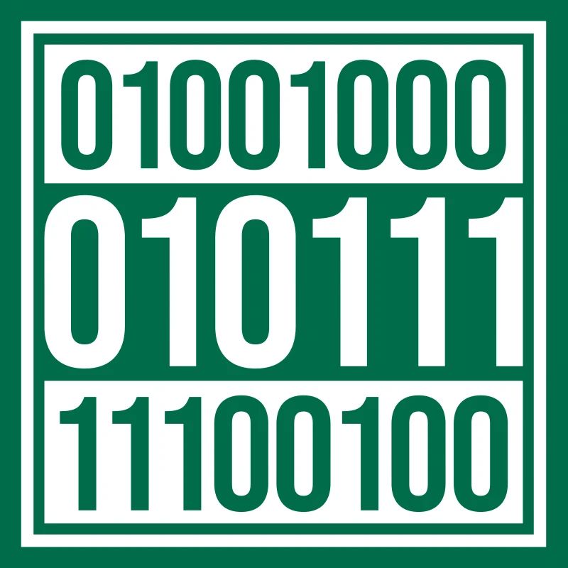 Langage de programme de code binaire
