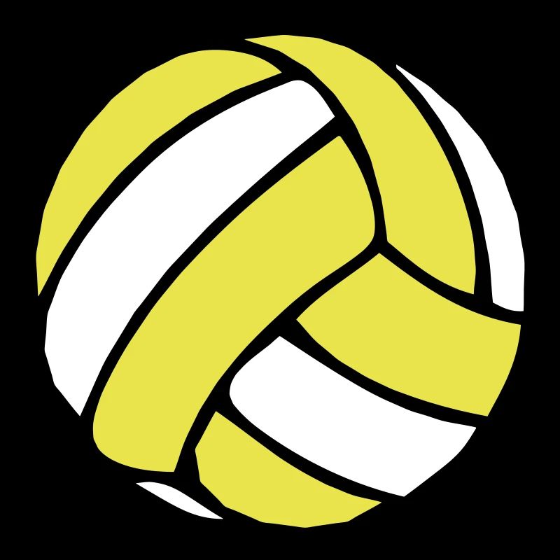 Beachvolleyball Beachball 2510