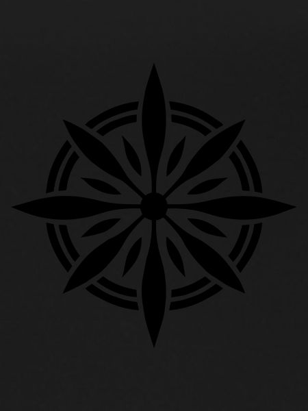 Precision Navigator: Compass
