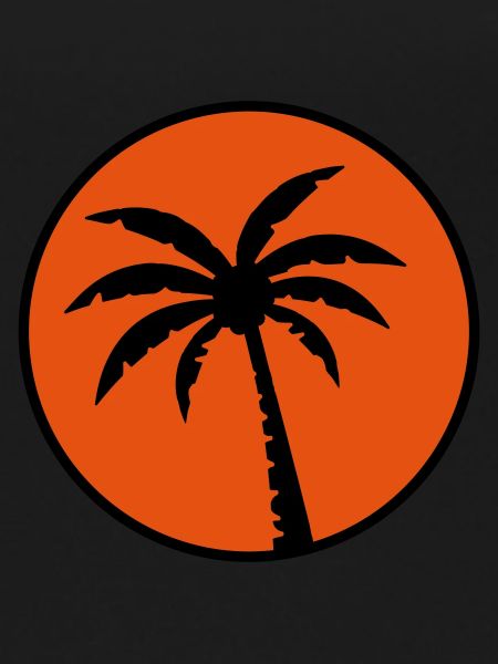 Palm 2