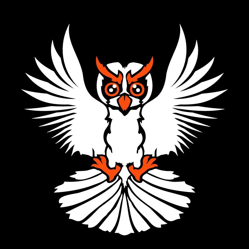 Eule Vogel Uhu Nachtvogel Schleiereule fliegt Cool