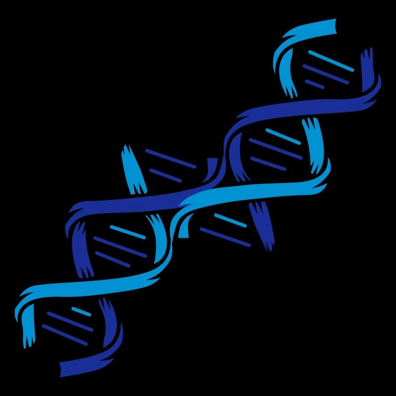 The structure of a DNA molecule