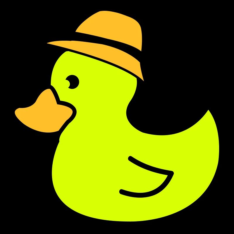 Duck Hat