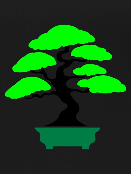 Bonsai Tree