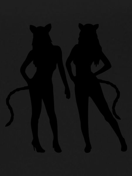 Team 2 cats