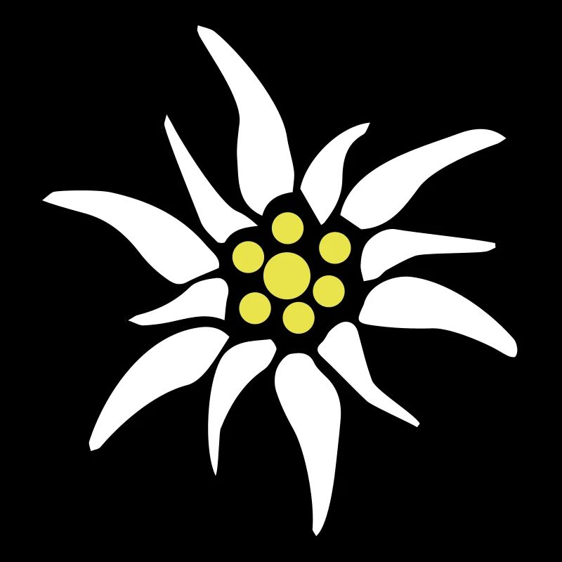 edelweiss