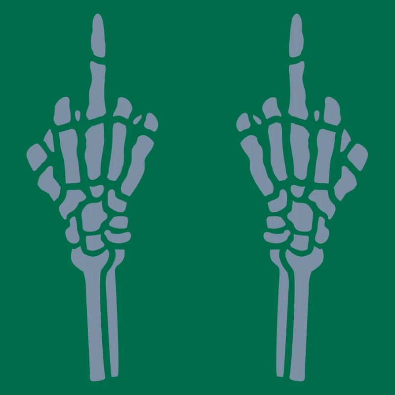 Gesture 2 hands middle finger
