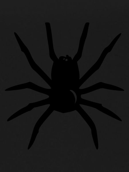 Spinne