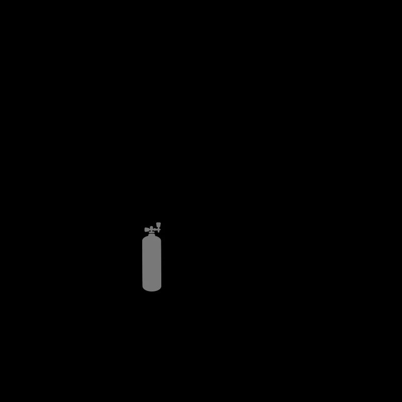 Plongée