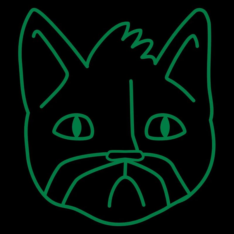 Unhappy Moustache cat cat