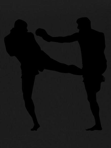 Kickboxers