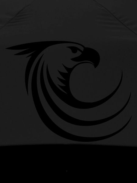 Eagle like a phoenix