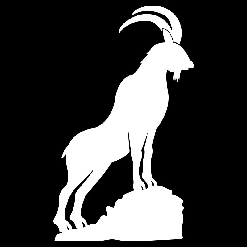 Capricorne 01