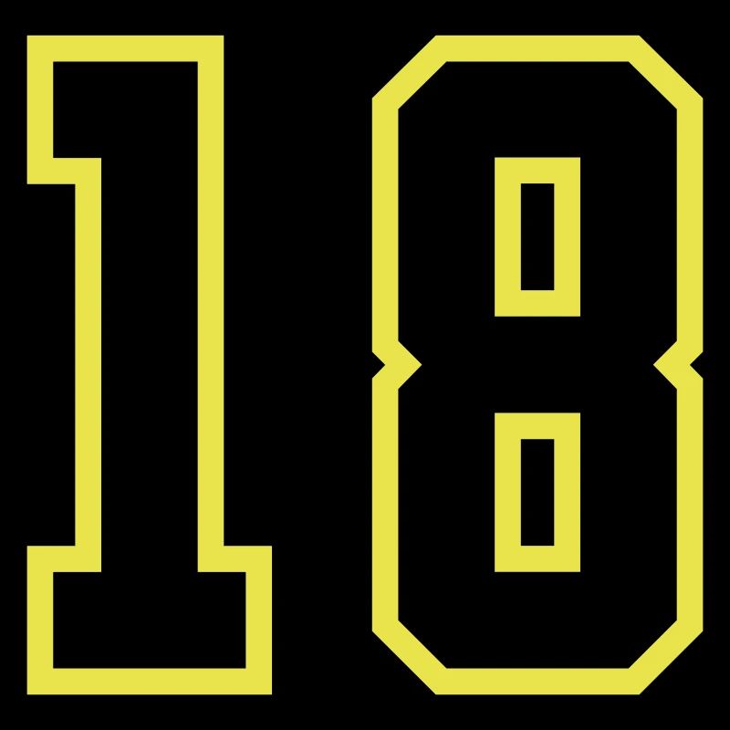 18 Number Leotard