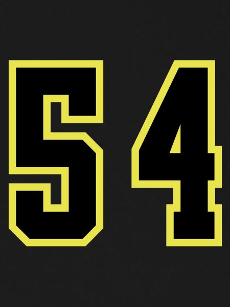 54 Number Leotard