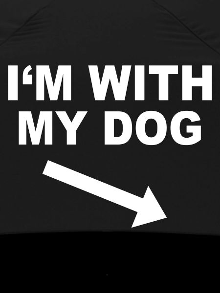 CHIEN