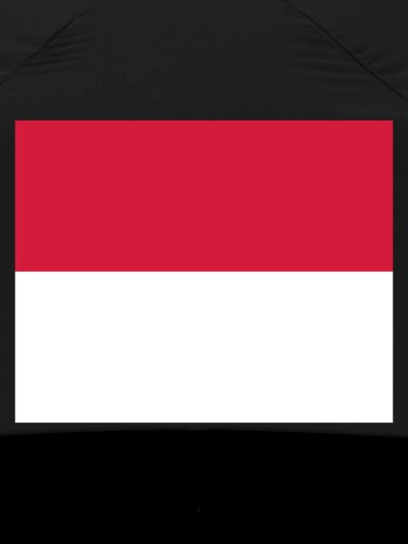Monaco flag / Drapeau Monaco