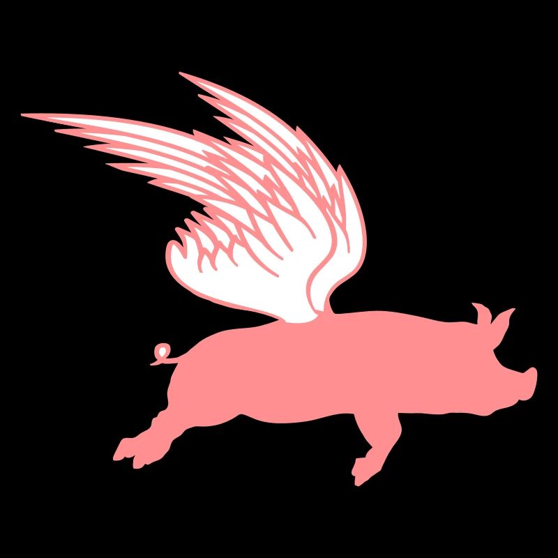 When Flying Wings Flying Pigs Can Fly