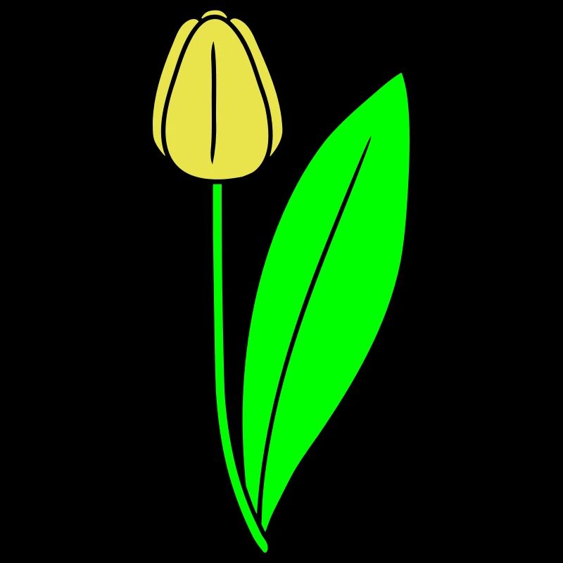Tulipe jaune belles fleurs jolie printemps été