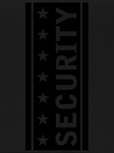 Stars Security Logo