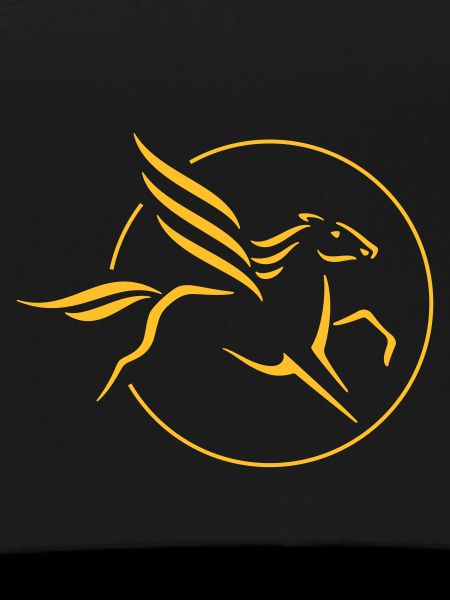 Pegasus in a circle