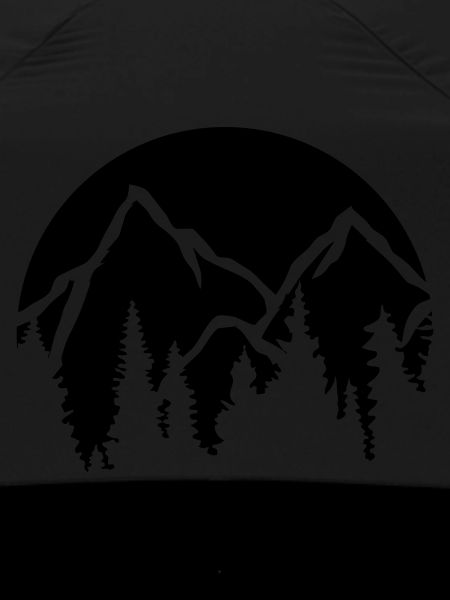 Conifers Mountains Sun