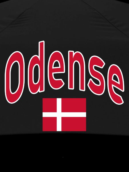Odense Denmark flag