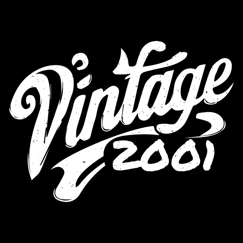 Vintage 2001 Year 2001 Birthday 2001 Retro