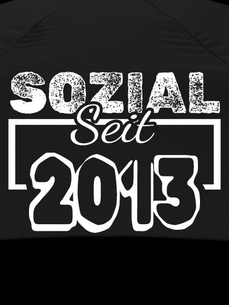 seit 2013