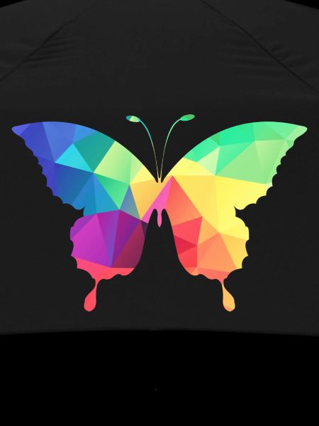 Bunter Schmetterling