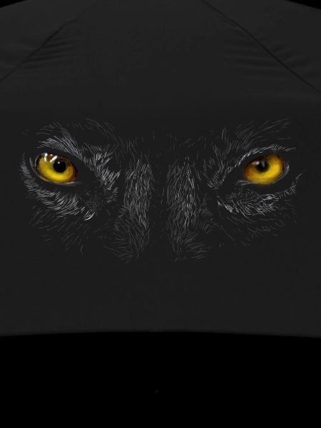 Augen