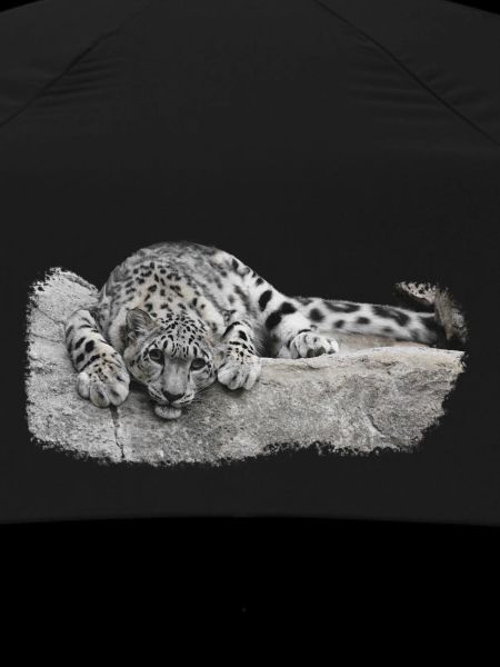 Snow leopard cub relaxed