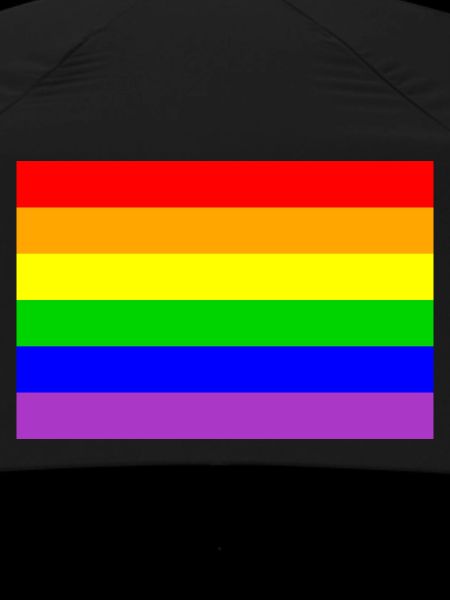 LGBT flag