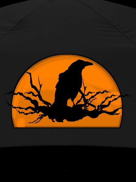 Raven in sunset