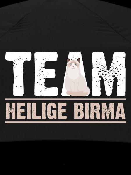 Heilige Birma Katze