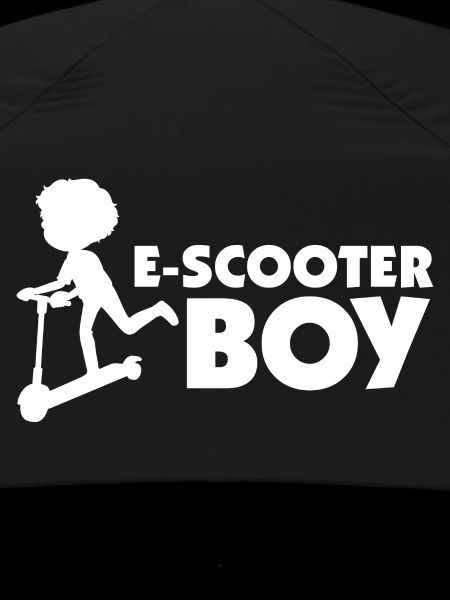 E-Scooter Roller Scooter