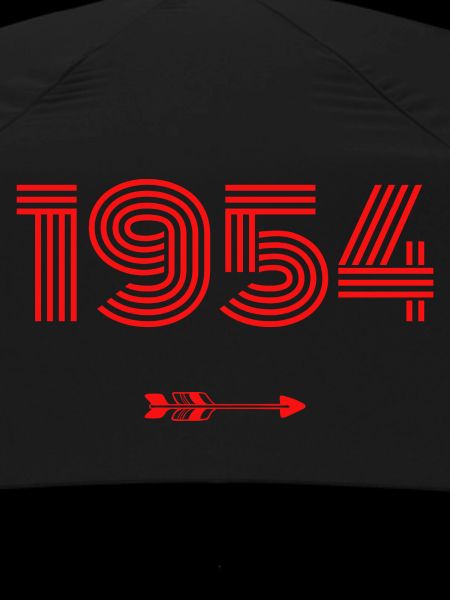 Born in 1954