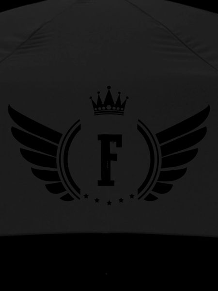 coat of arms n—