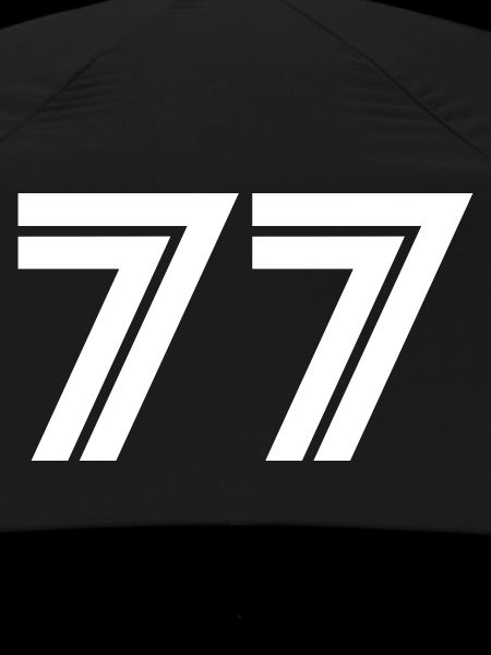 Issue 77