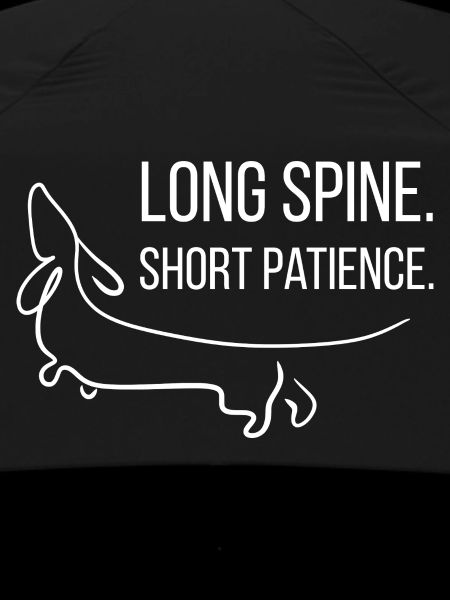 Short-legged. Stubborn. Dachshund.