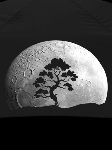 Bonsai Baum Mond