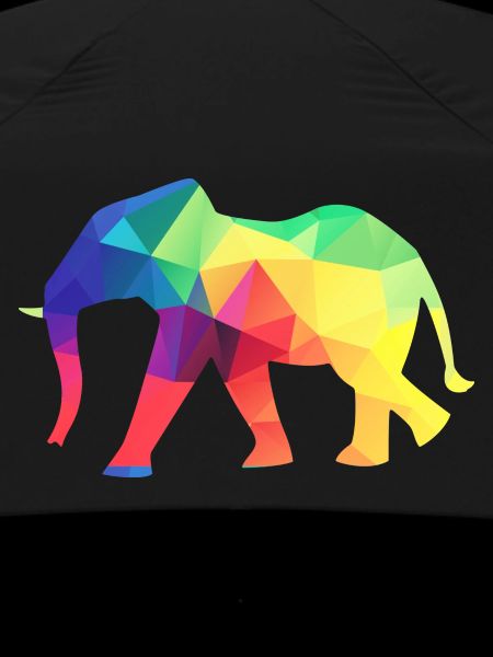 Colourful elephant