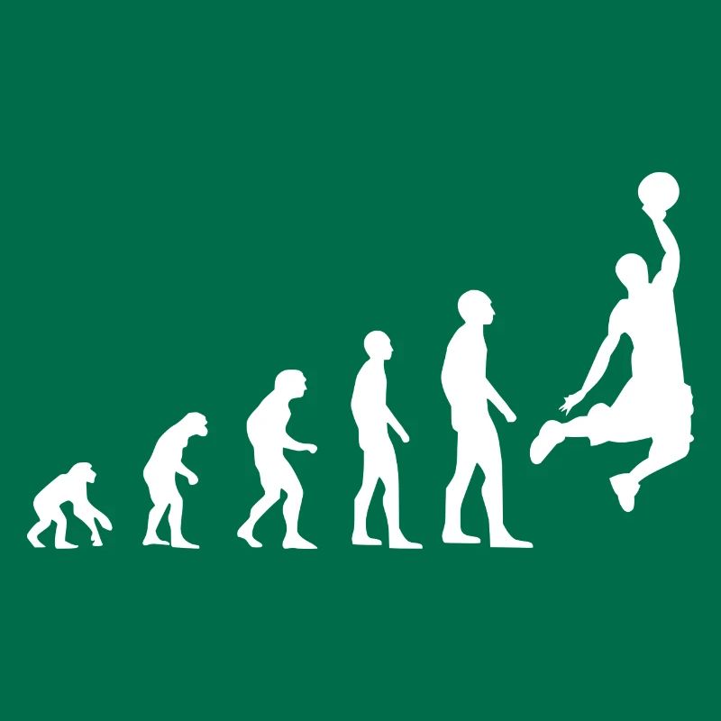 Evolution du basket