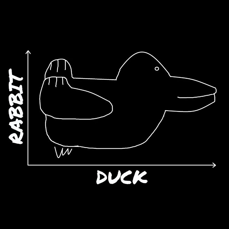 Funny Duck Graphic Rabbit