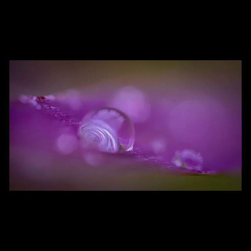 drop