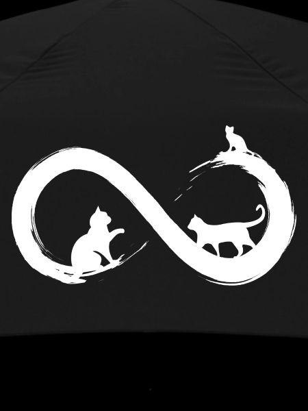 Infinity Cat