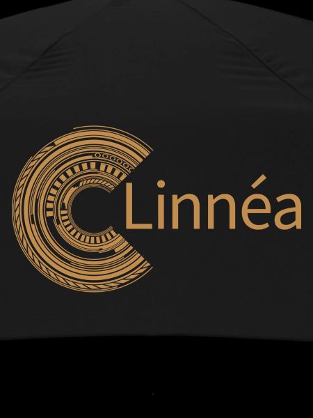 Pour Linnéa