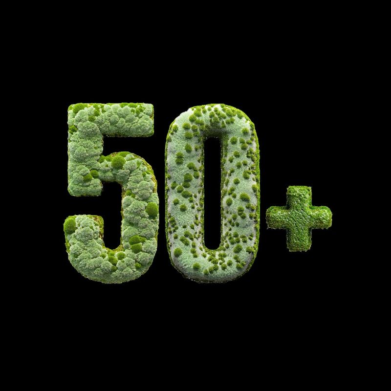 Birthday old 50 + ancient aged funny mossy rock